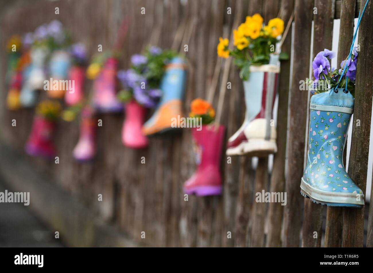 Rubber boot as flower pots, Germany, city of Hilkerode, 26. March 2019 ...