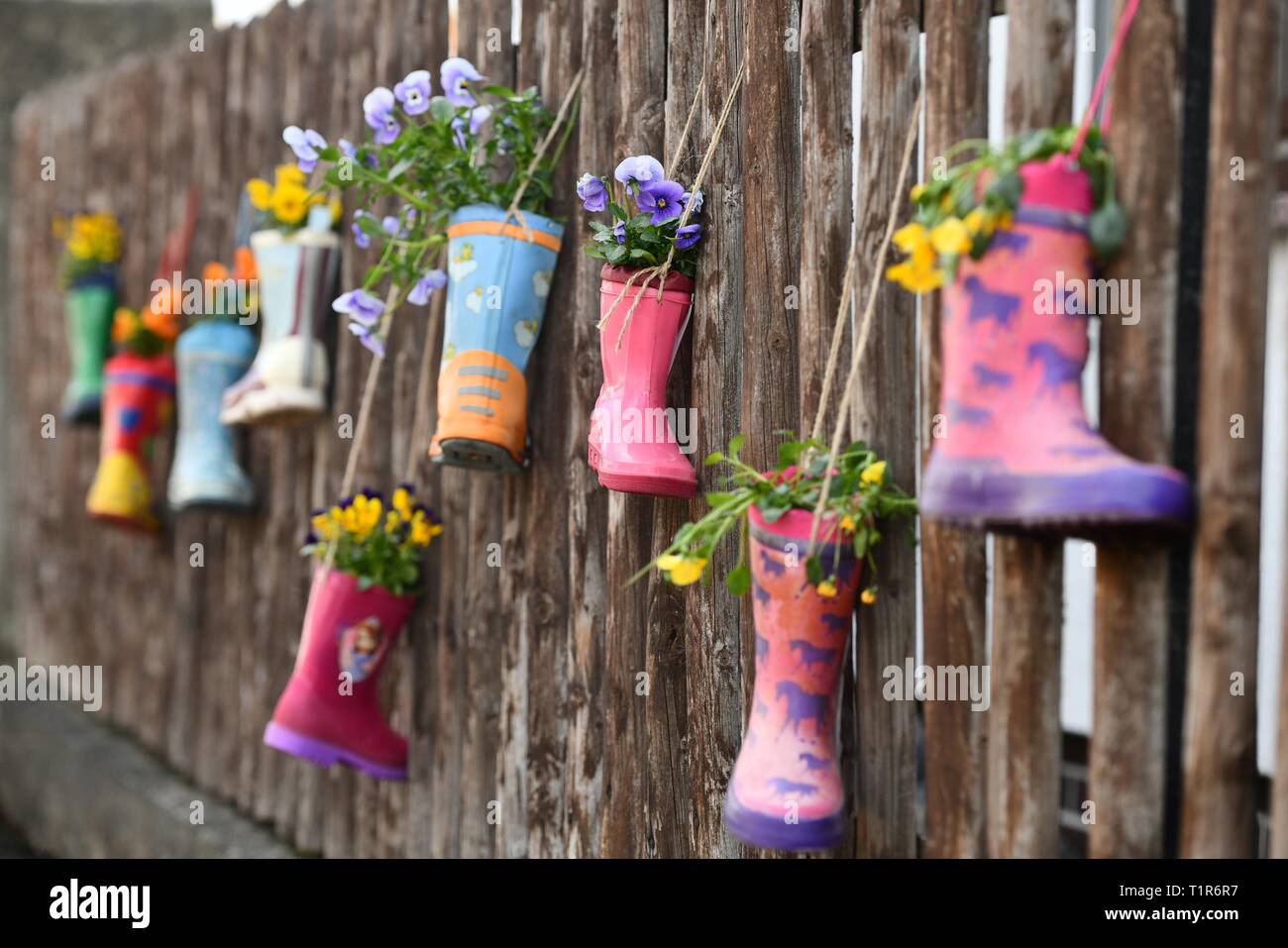 Rubber boot as flower pots, Germany, city of Hilkerode, 26. March 2019 ...