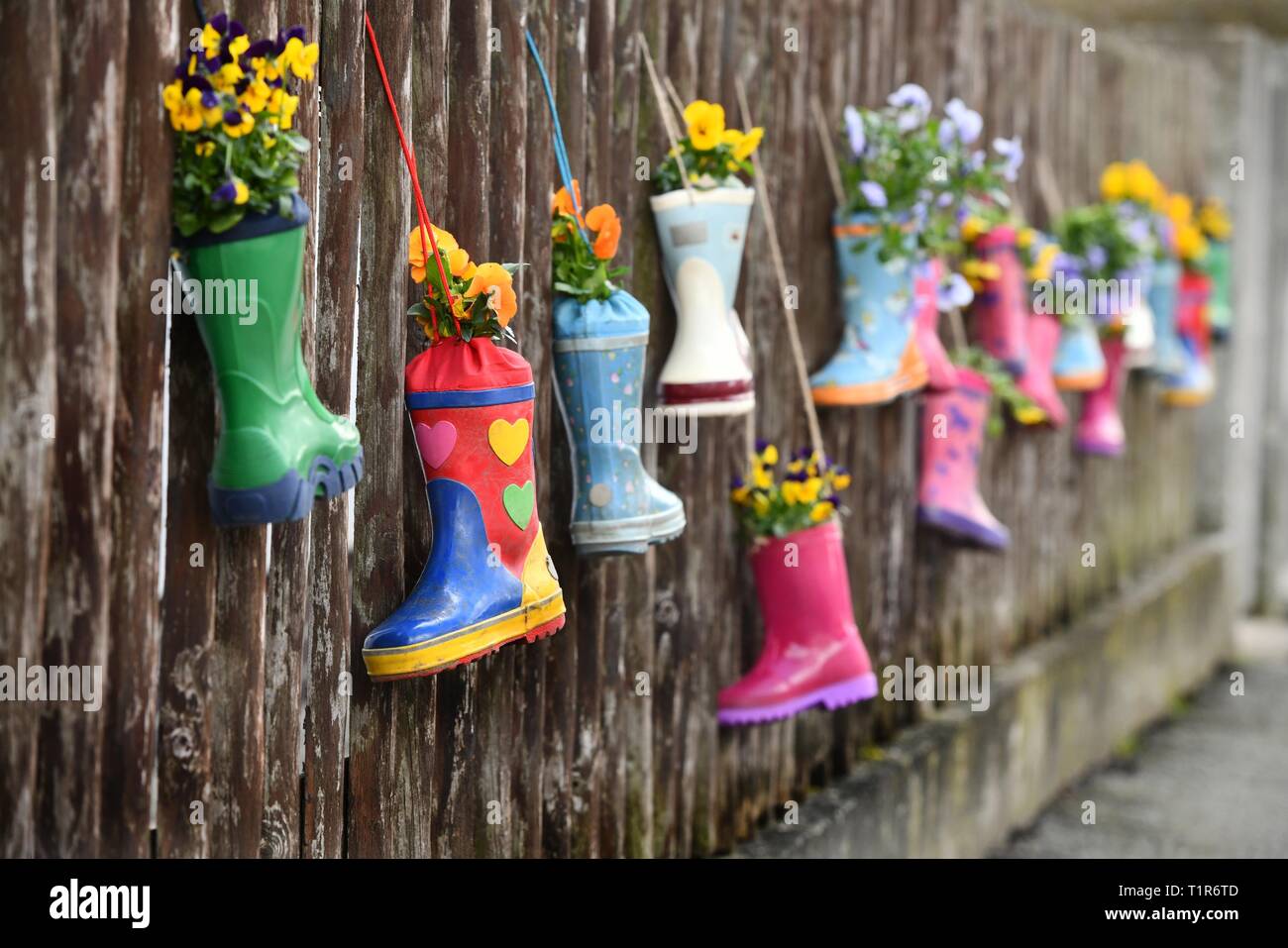 Rubber boot as flower pots, Germany, city of Hilkerode, 26. March 2019 ...