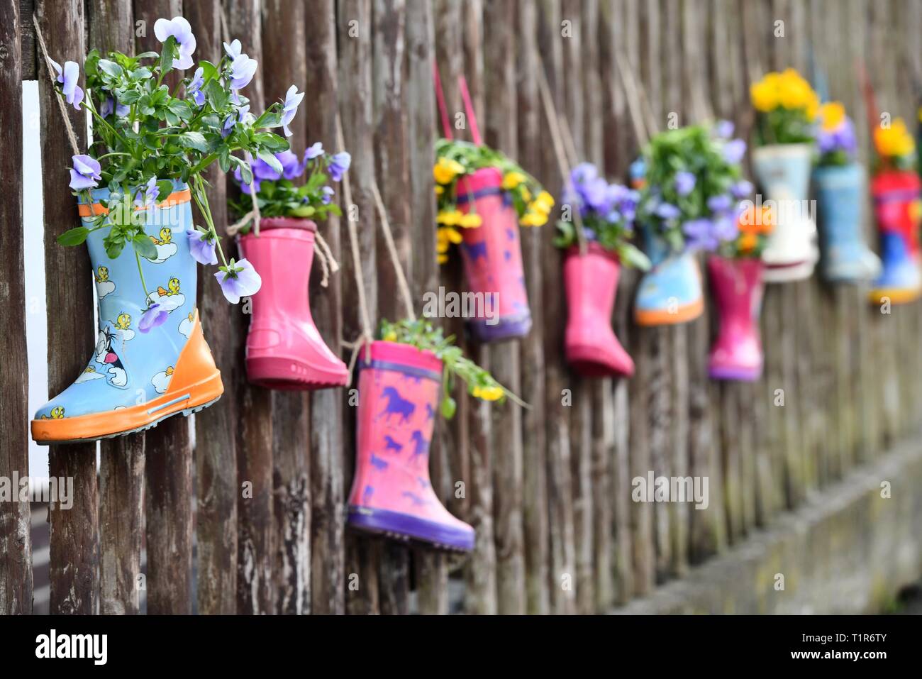 Rubber boot as flower pots, Germany, city of Hilkerode, 26. March 2019 ...