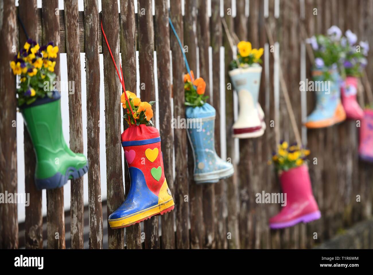 Rubber boot as flower pots, Germany, city of Hilkerode, 26. March 2019 ...