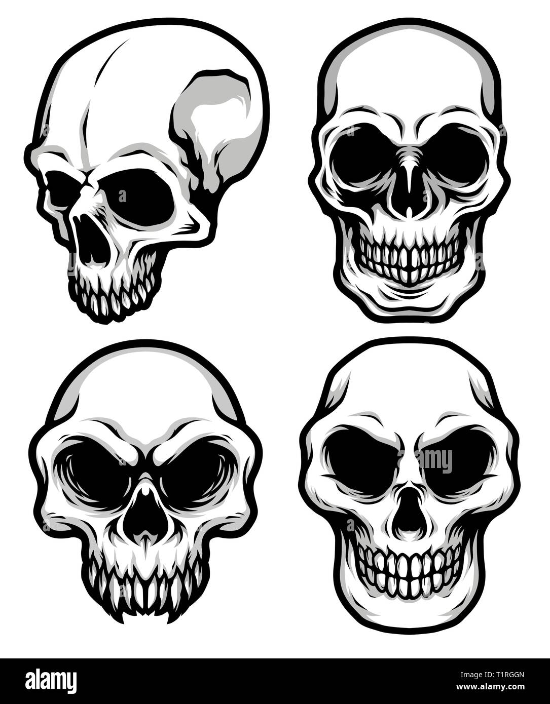 Collection of Detailed Classic Skull Head Black and White Illustration ...