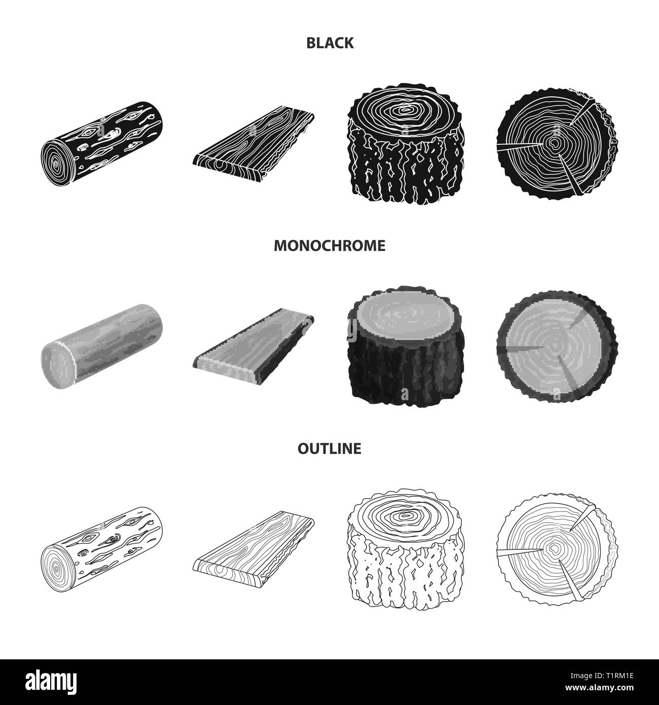 deck,plank,timber,piece,lumber,stack,section,ring,trunk,texture,birch ...