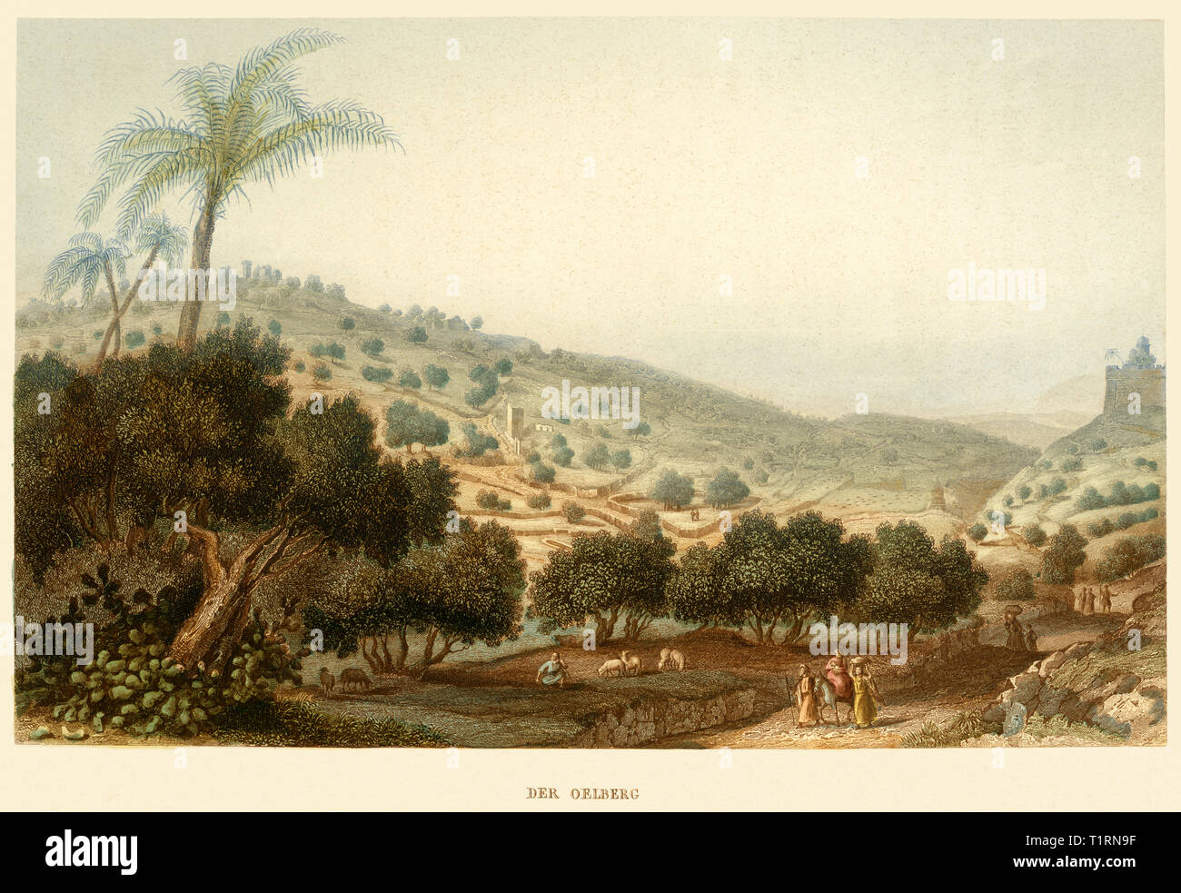 Middle East, Israel, Jerusalem, Mount of Olives, coloured steel engraving by Poppel and Kurz after Halbreiter, around 1861. , Artist's Copyright has not to be cleared Stock Photo