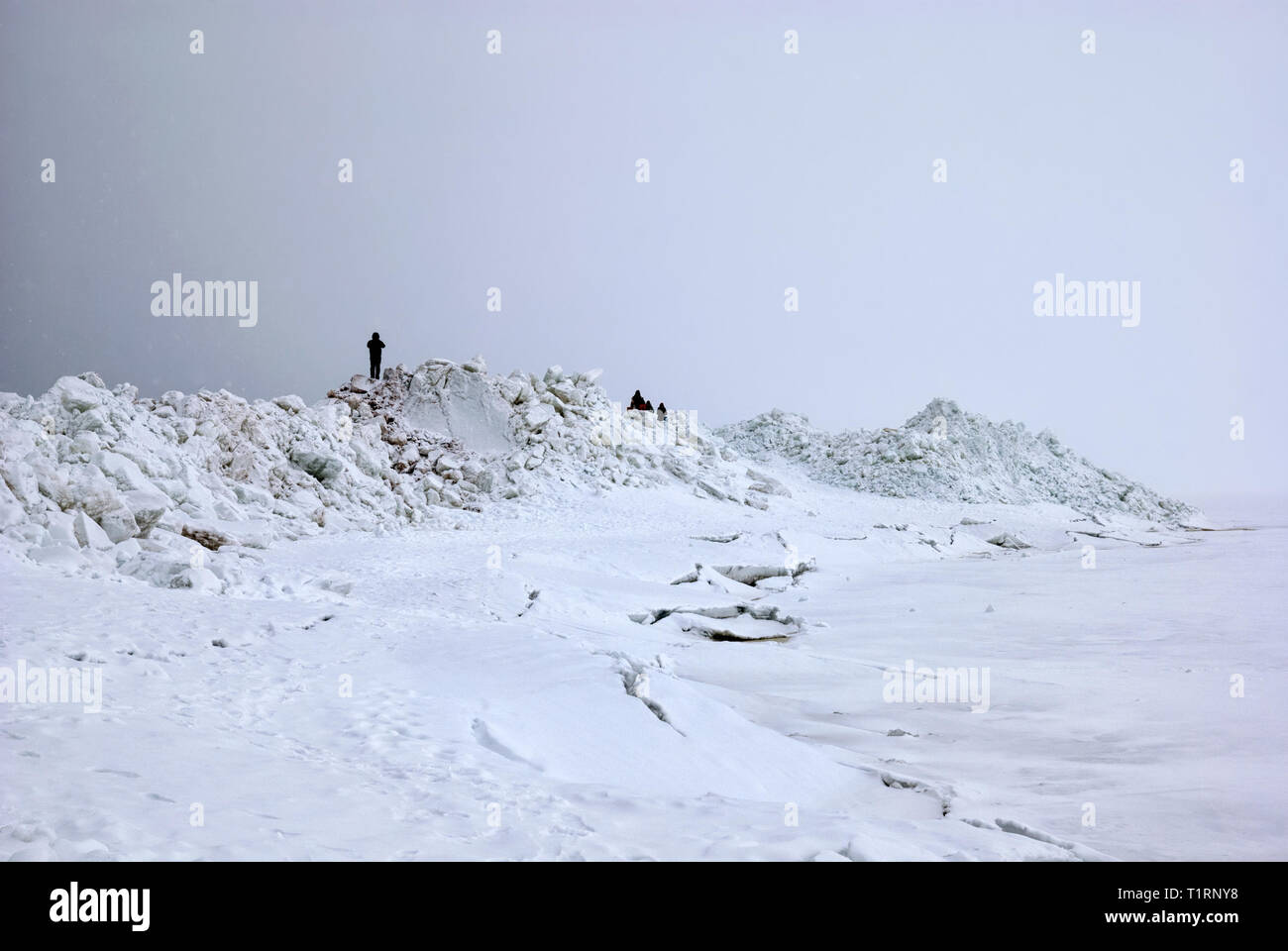 People on pressure ridges (ice floes) on The Gulf of Finland on the beach of Zelenogorsk Town (district of St Petersburg) in March. Russia Stock Photo