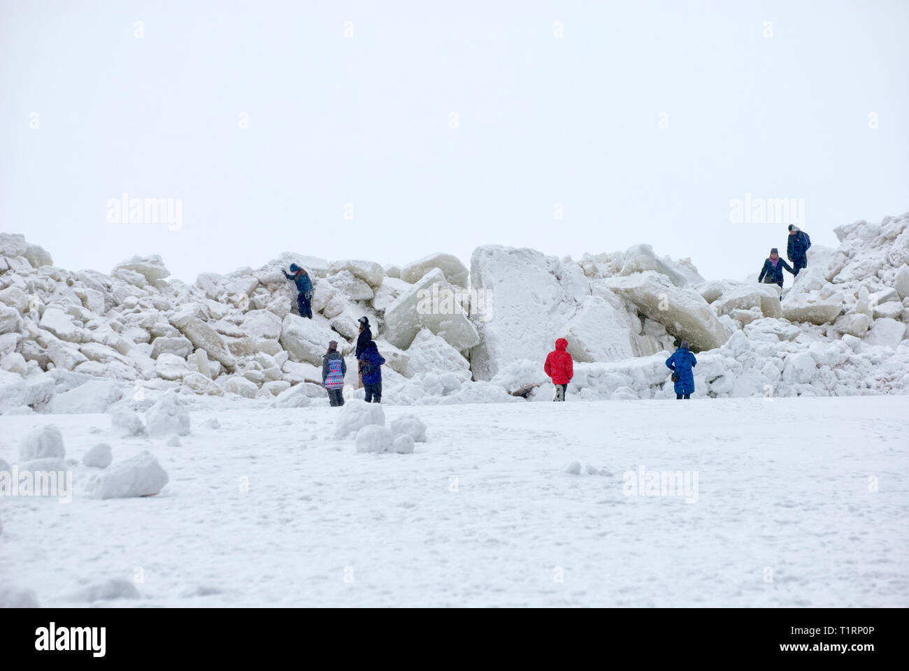 MARCH 12, 2019: People climb pressure ridges (ice floes) on The Gulf of Finland on the beach of Zelenogorsk Town (district of St Petersburg) Stock Photo