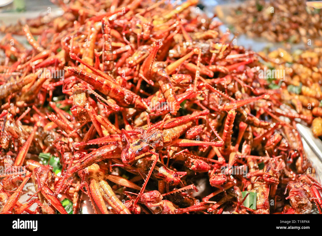Exotic food fried Street food in Thailand Stock Photo