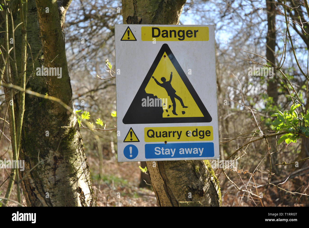 A sign attached to a tree in woodland, warning people to stay away from ...