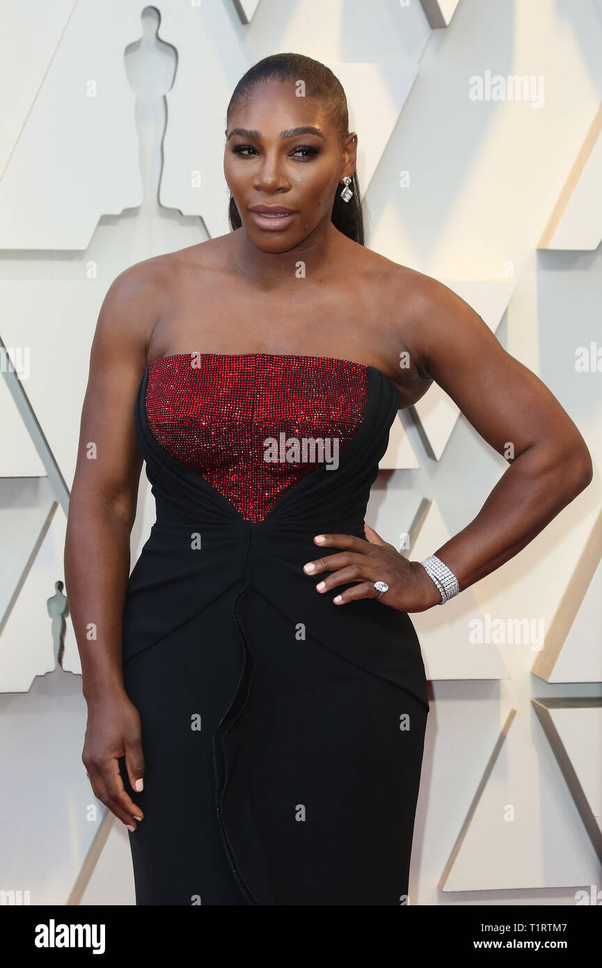 Serena Williams Oscars 2019 Dress 2025