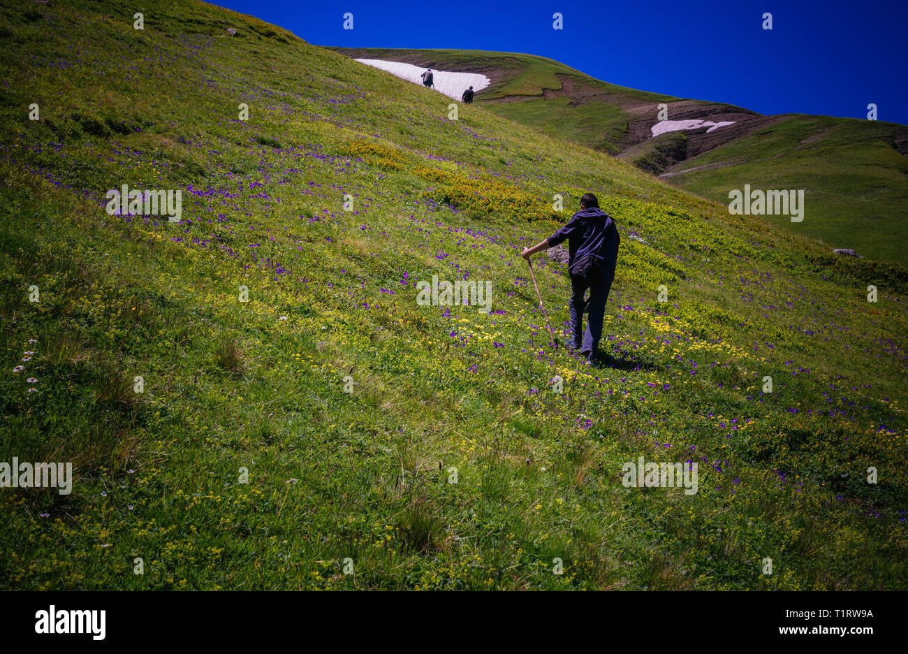 Boy traveler trekking poles hi-res stock photography and images - Alamy