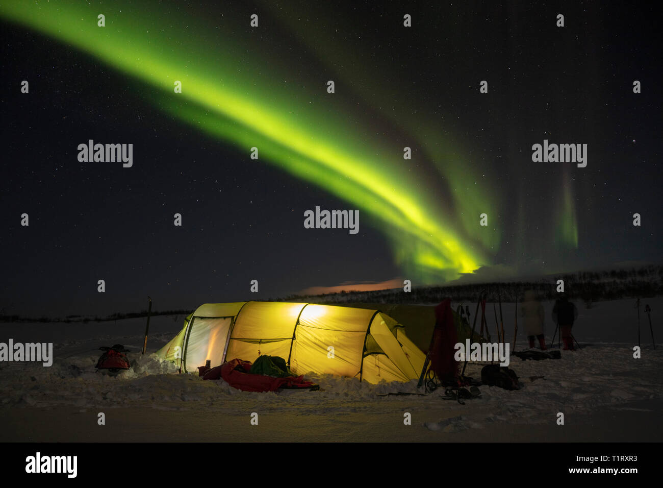 Aurora borealis over a winter ski touring tent. Finnmarksvidda Plateau. Finnmark, Arctic Norway. Stock Photo