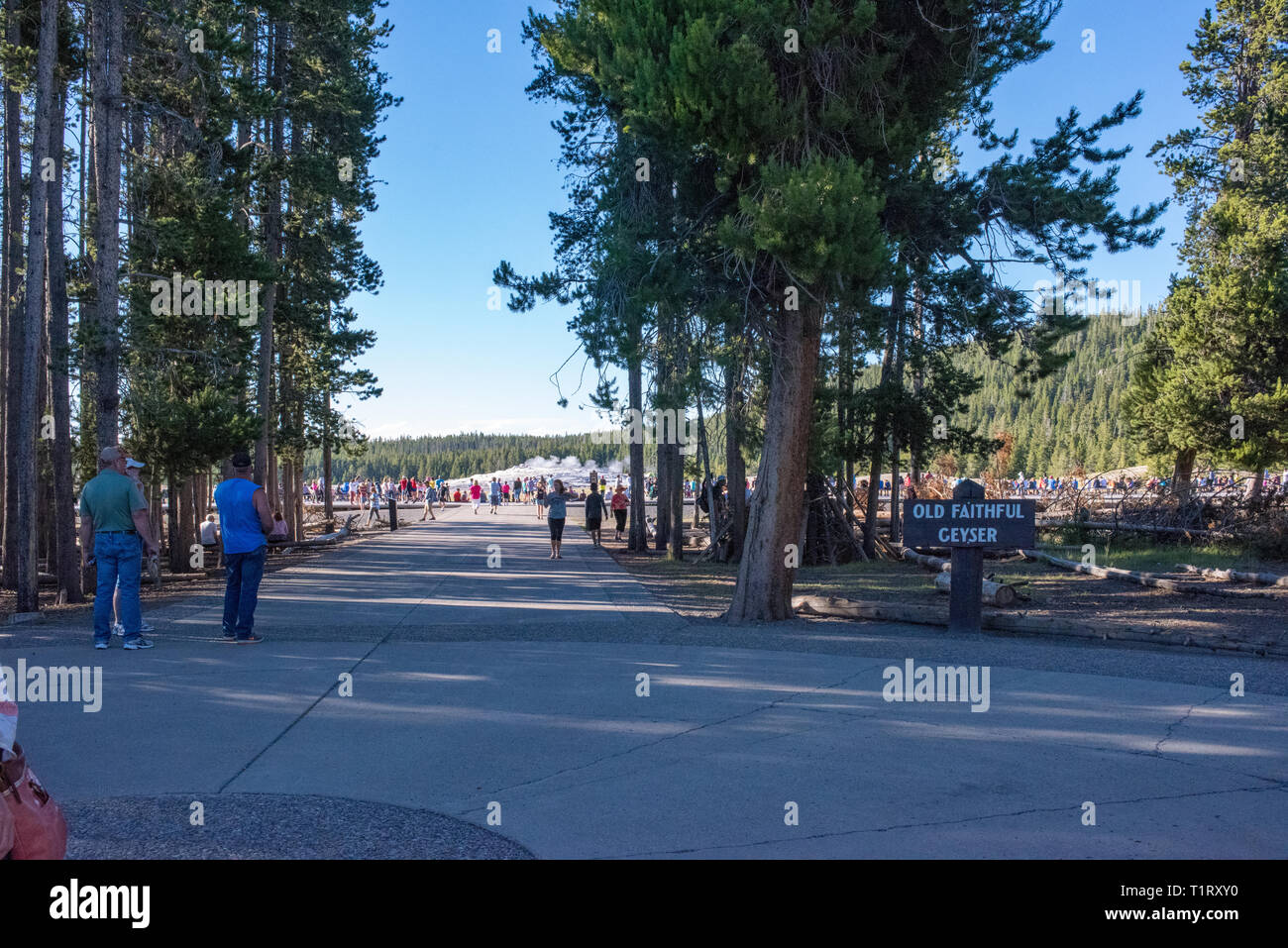 Yellowstone National Park is located in Wyoming, Montana, and Idaho. It