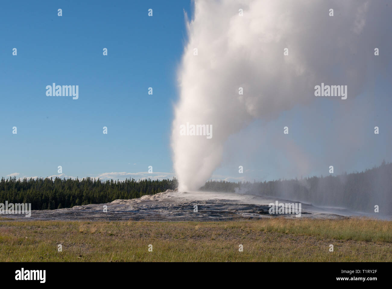 Yellowstone National Park is located in Wyoming, Montana, and Idaho. It