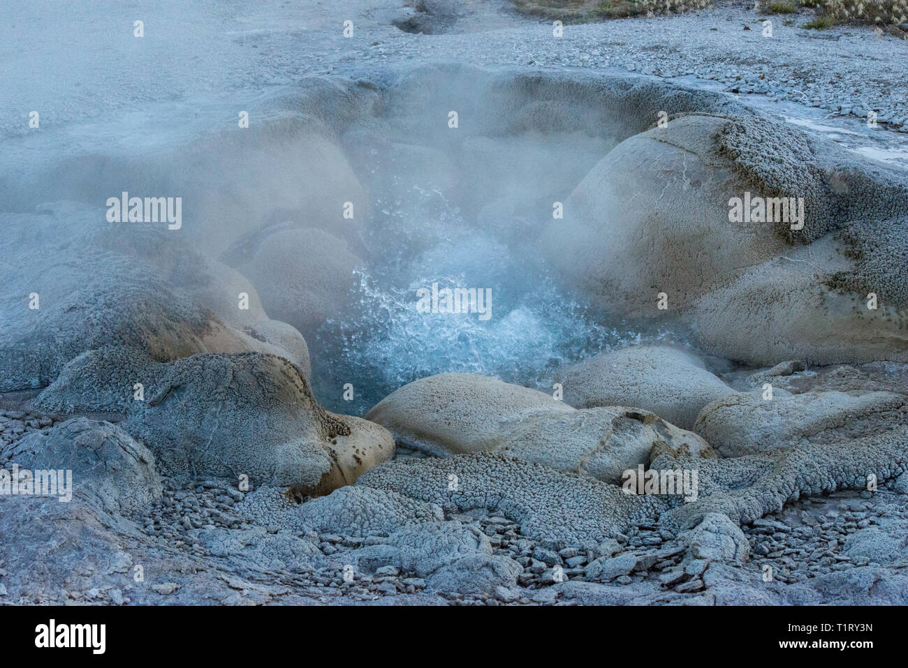 Yellowstone National Park is located in Wyoming, Montana, and Idaho. It