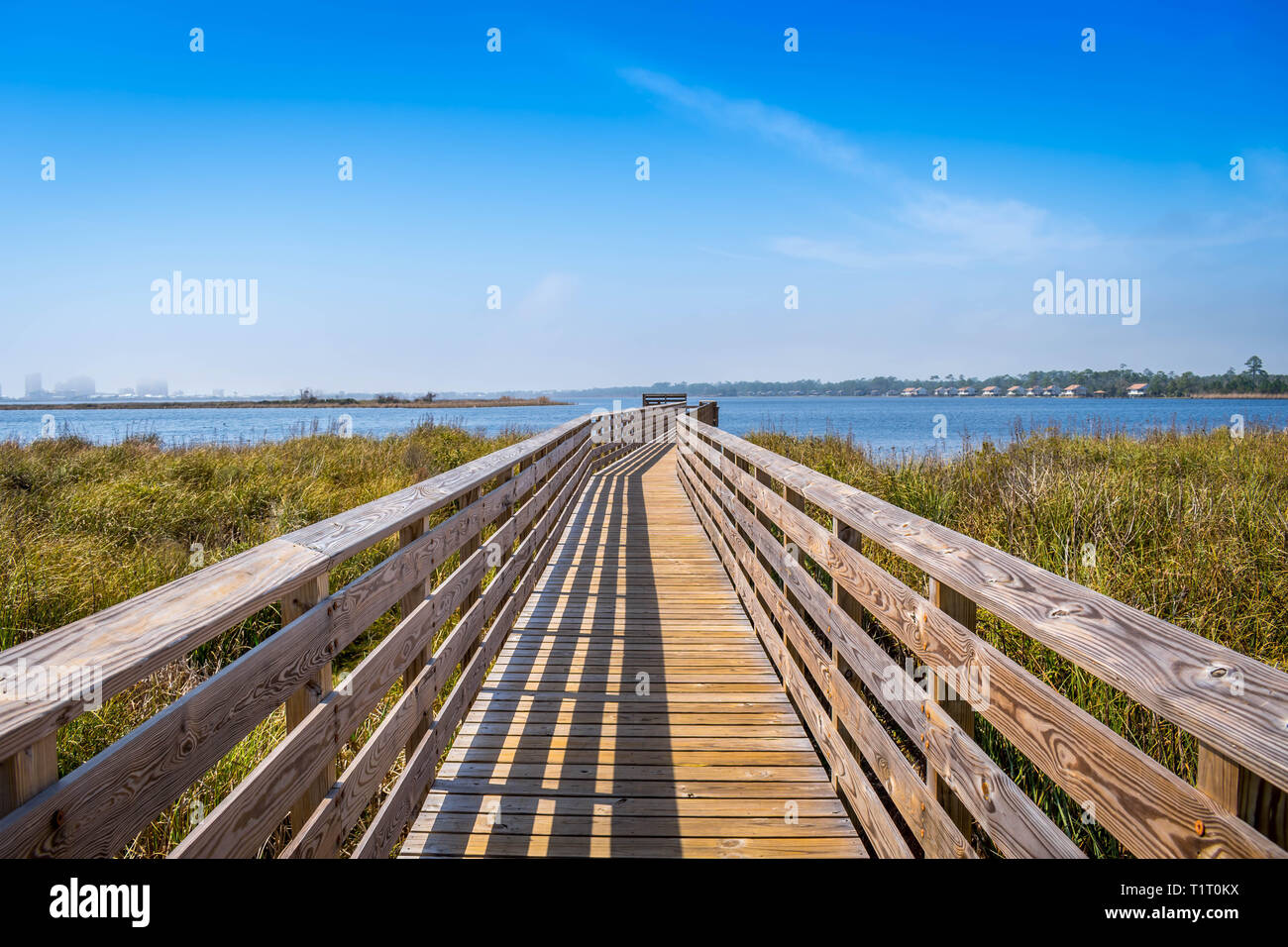 A very long boardwalk surrounded by shrubs in Gulf Shores, Alabama