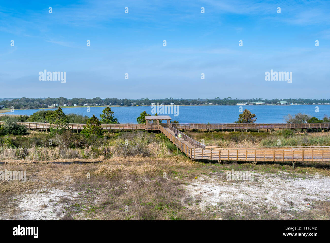 A very long boardwalk surrounded by shrubs in Gulf Shores, Alabama