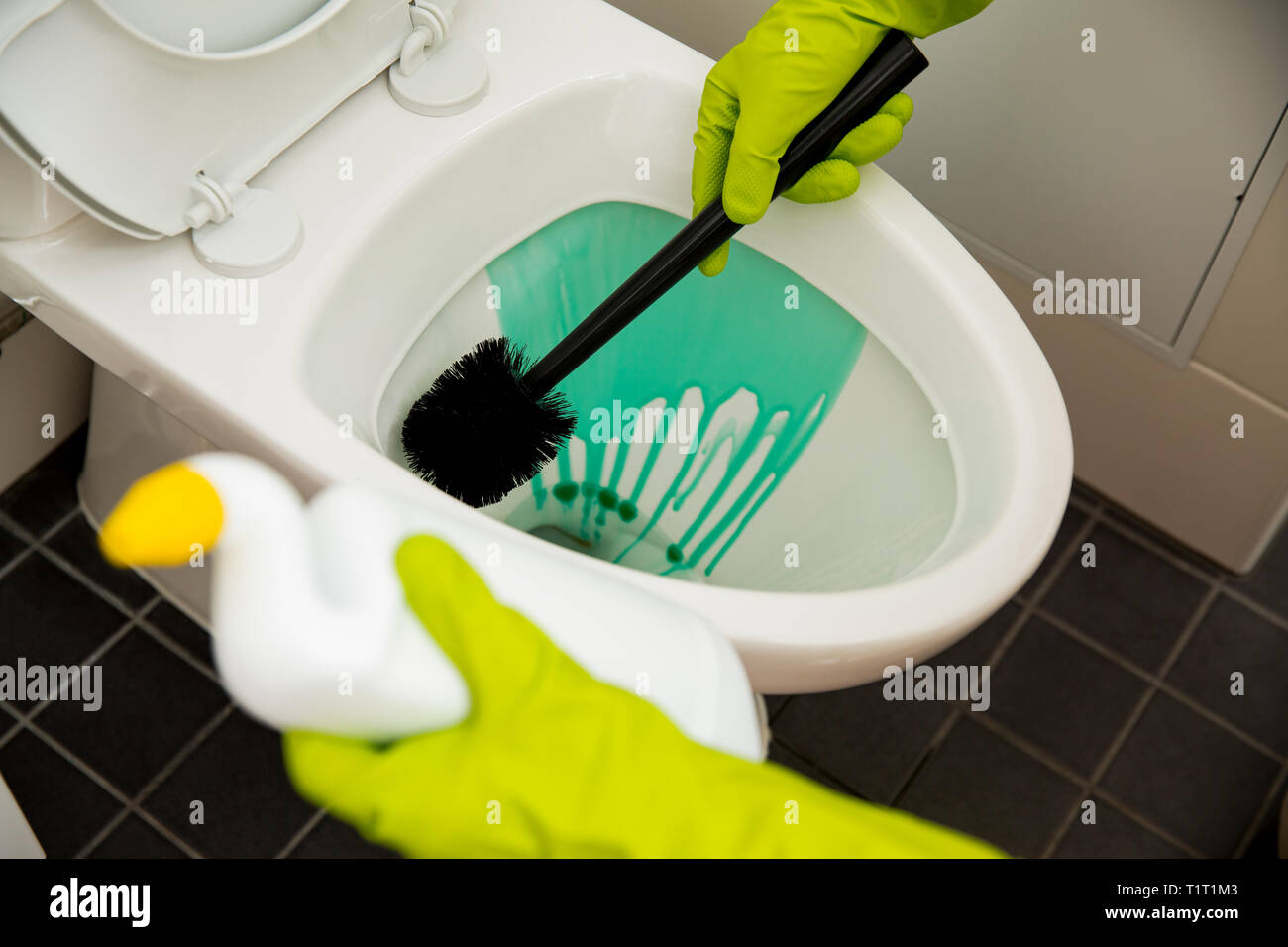 Washing toilet hires stock photography and images Alamy