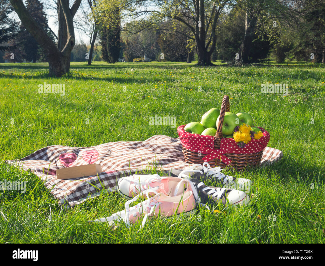 picnic basket and blanket Stock Photo Alamy