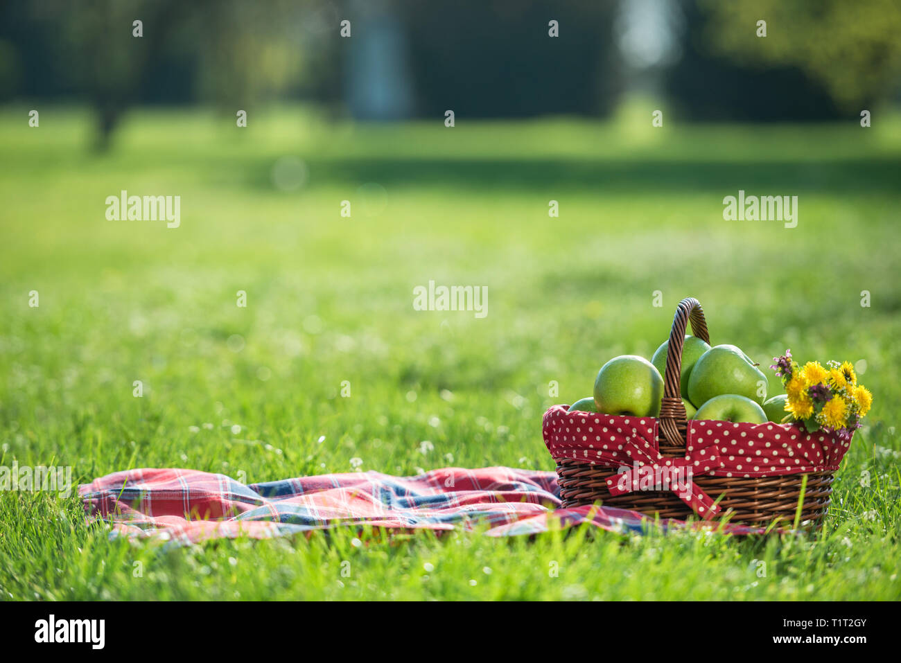 picnic basket and blanket Stock Photo Alamy