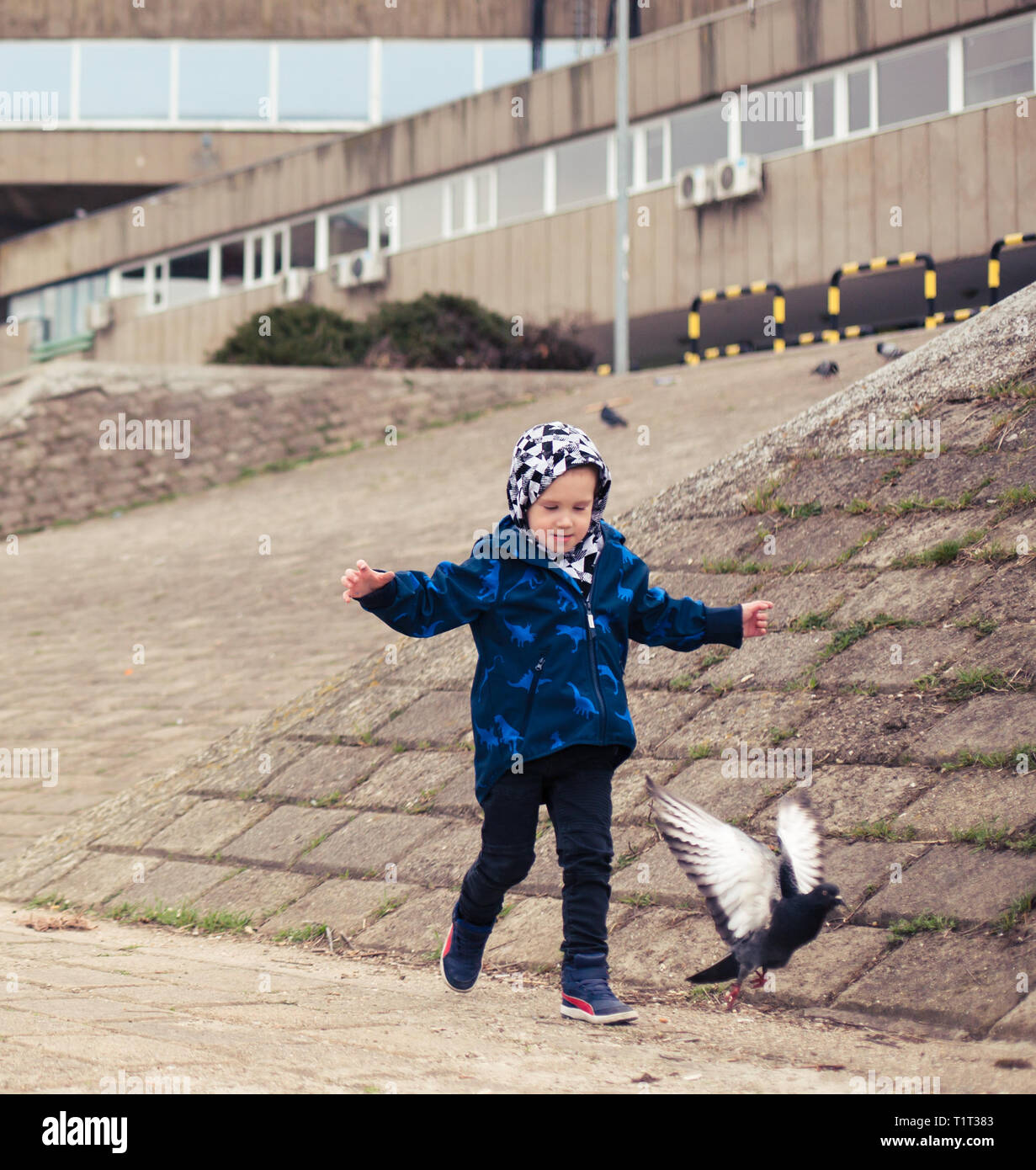Young boy chasing a pigeon Stock Photo