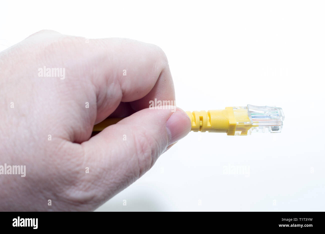 Hand of man holding the network cables rj45 Stock Photo
