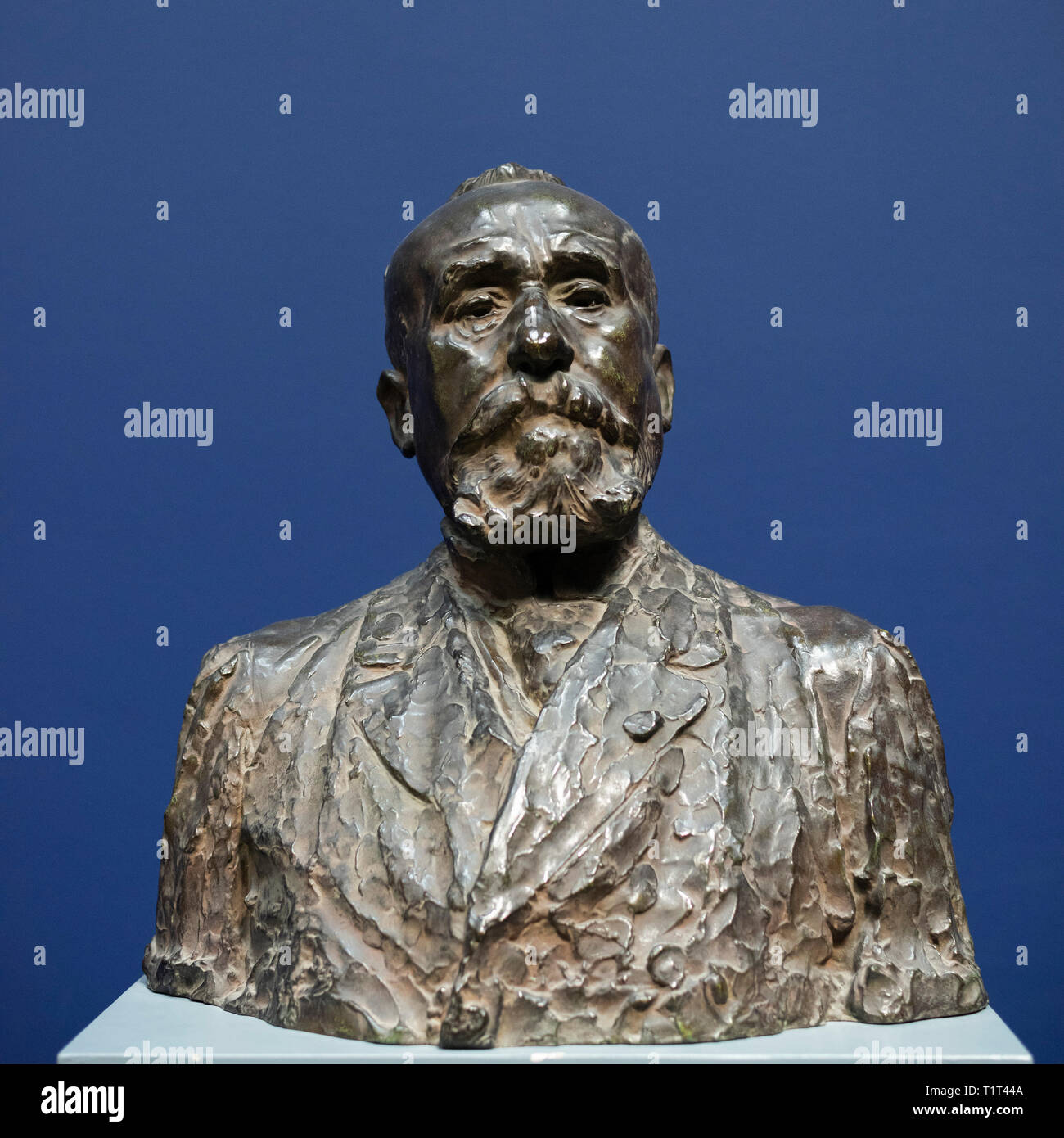 Copenhagen. Denmark. Portrait bust of Pierre Puvis de Chavannes (1824-1898), 1900-1901 (modeled ca. 1890) by Auguste Rodin (1840-1917). Ny Carlsberg G Stock Photo
