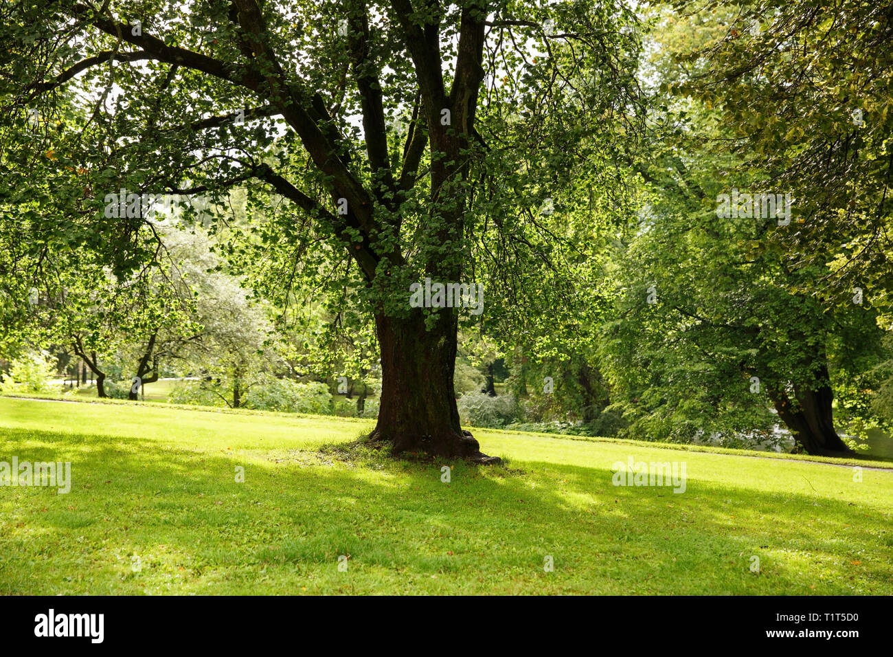 The Royal Palace park in Oslo, Norway Stock Photo - Alamy