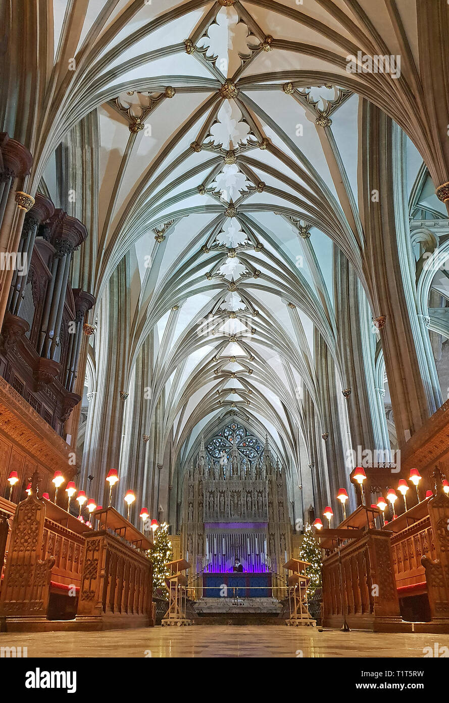 Stained glass window at bristol cathedral hires stock photography and