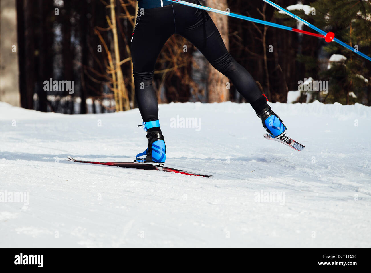 cross-country ski race back male athlete skier Stock Photo