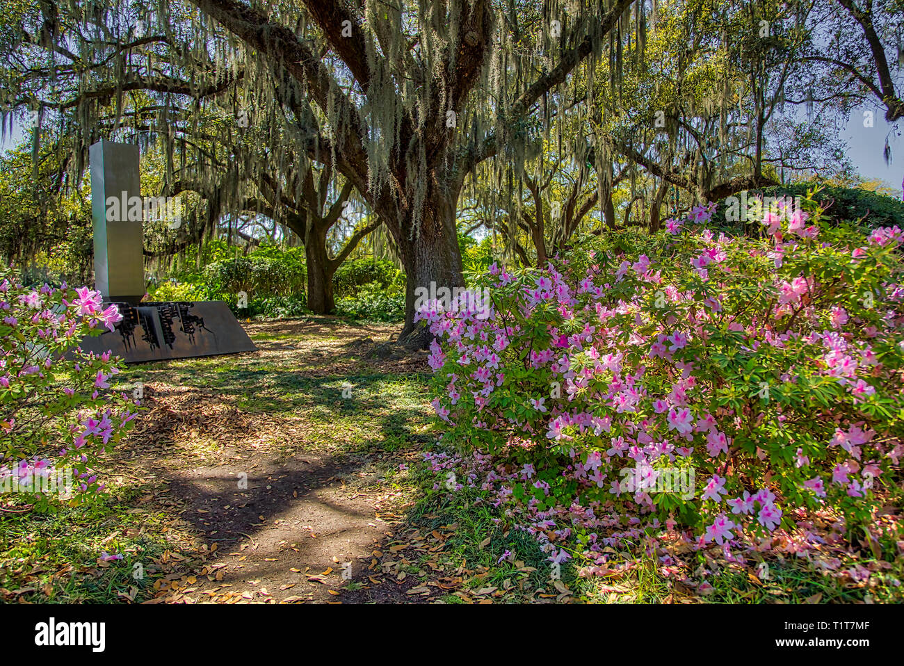 City Park New Orleans Stock Photo