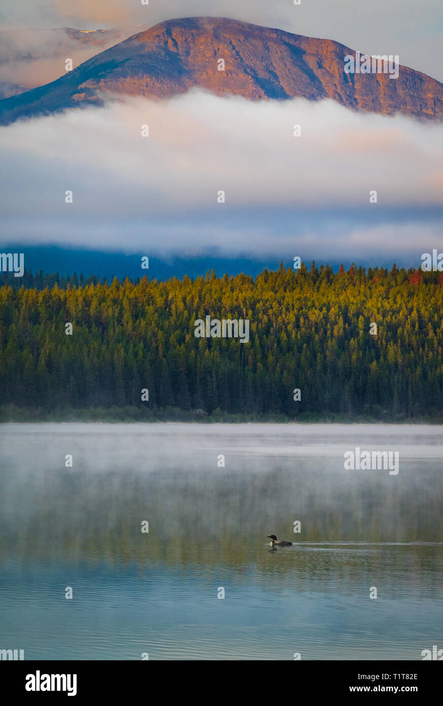 Views of Patricia Lake near Jasper British Columbia Canada. Early light Stock Photo