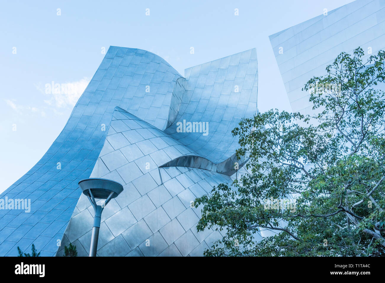 View looking up of the stainless steel exterior of the Walt Disney