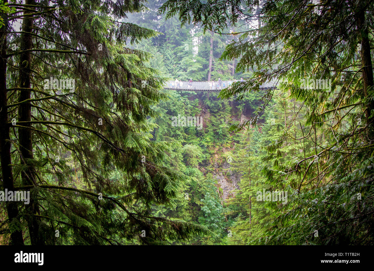Capilano Suspension Bridge Park Vancouver British Columbia Stock Photo