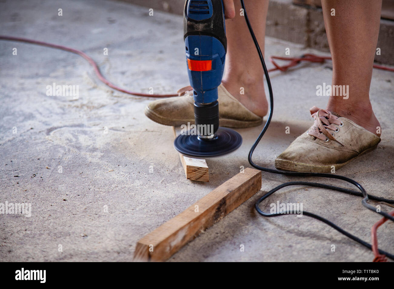 Sandpapper Tree Sandpaper Tree High Resolution Stock Photography and Images - Alamy