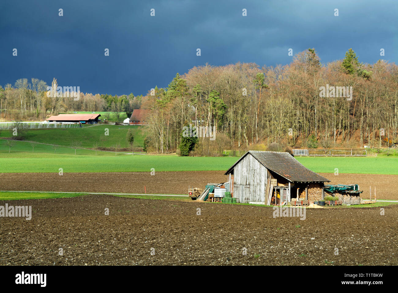 A rural Swiss landscape in the village of Kloten near Zürich with fields and trees and in the foreground a barn under a dark cloudy sky. Stock Photo