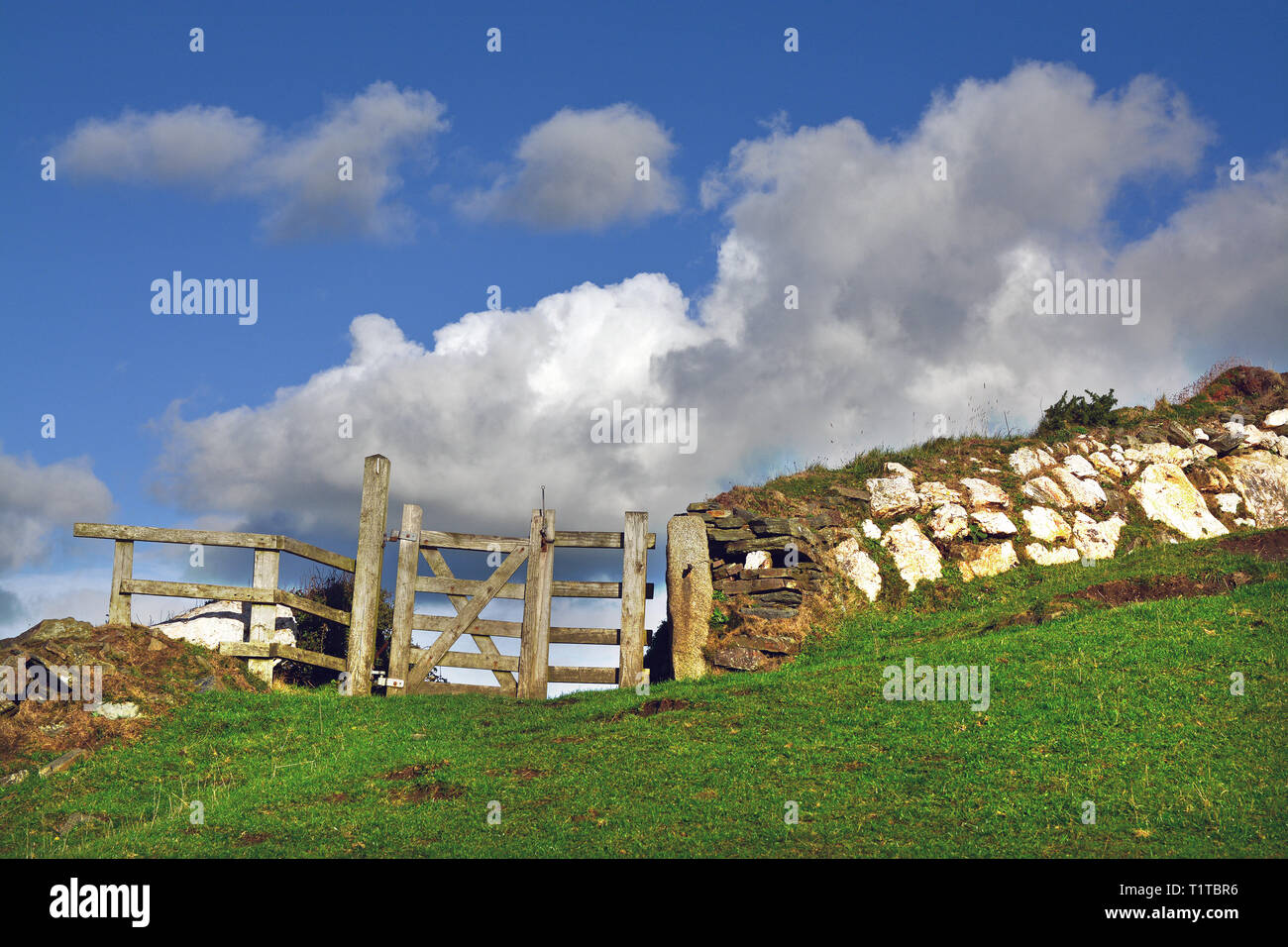 Landscape near Boscastle and Tintagel in C Cornwall (UK): a meadow, an old Cornish stone wall with a fence and a vast blue sky with some clouds. Stock Photo