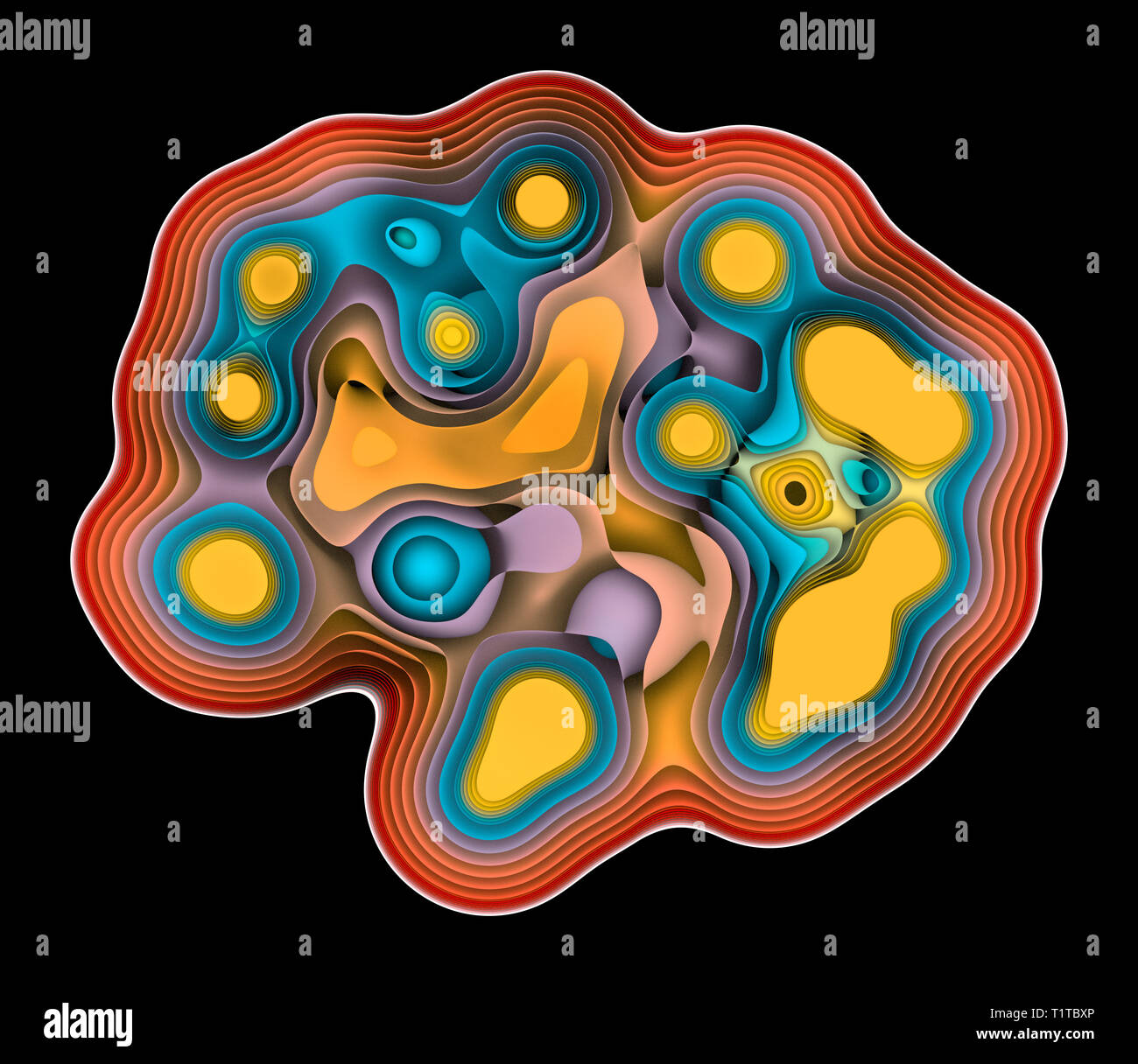 Cross Section Of A Multicellular Organism With Cell Division Cycle