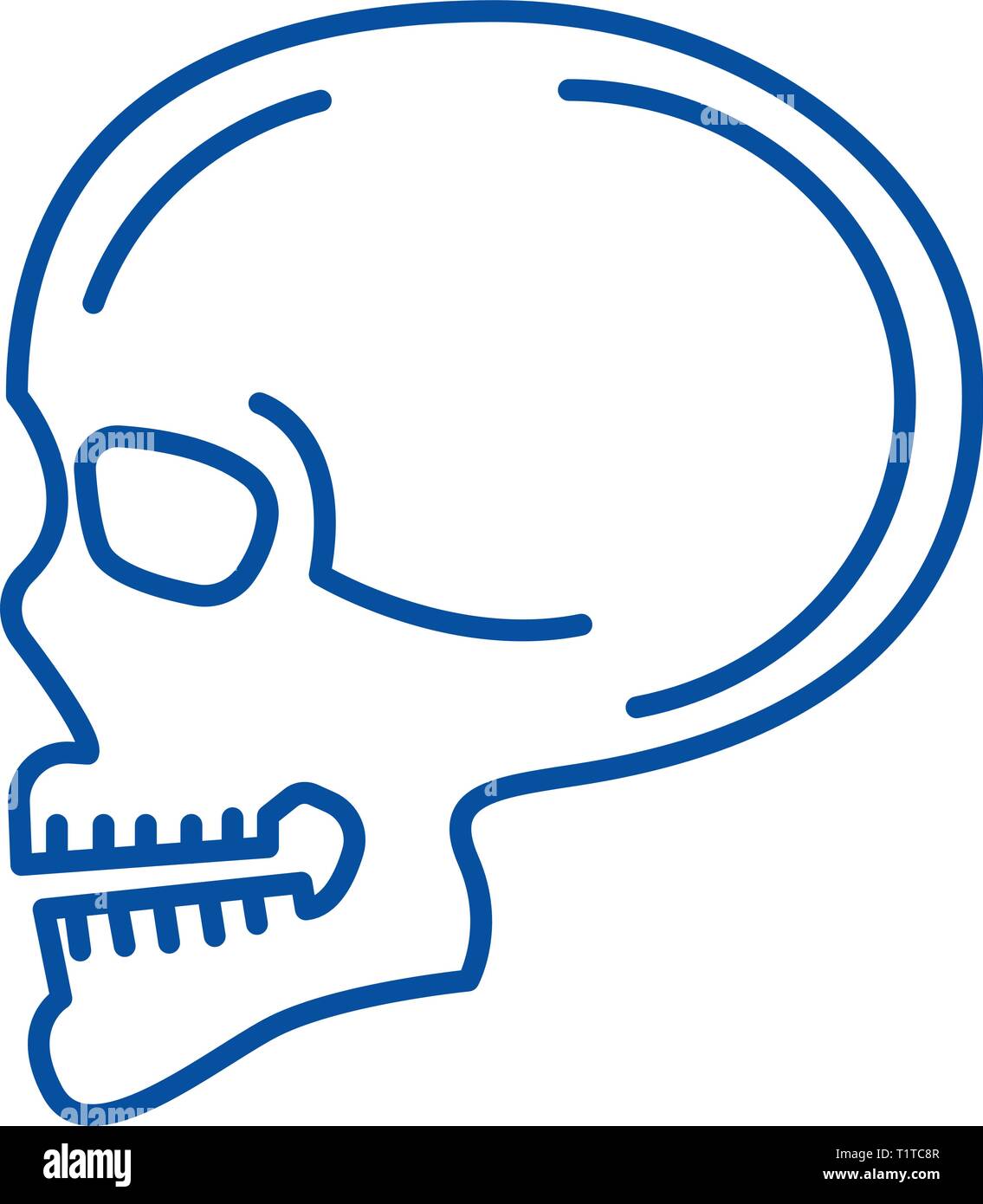 skull front profile