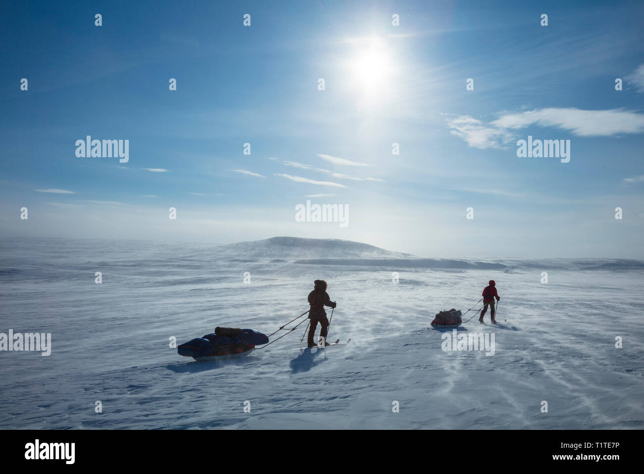 Cross country ski touring group crossing the Finnmarksvidda Plateau. Finnmark, Arctic Norway. Stock Photo