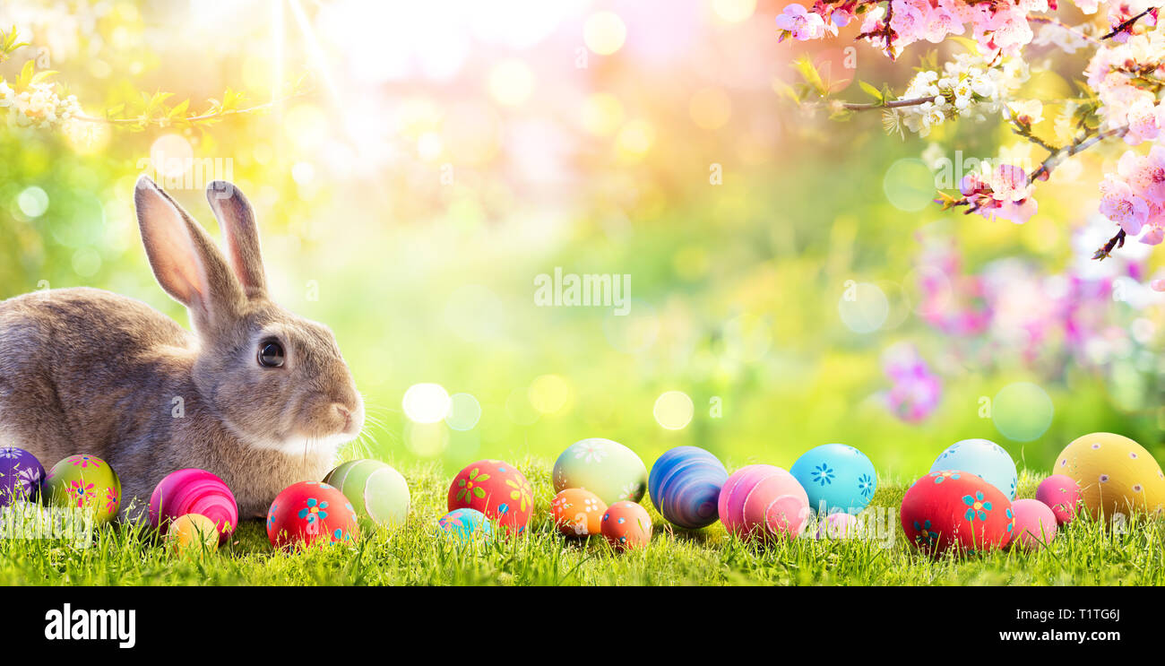 Adorable Bunny With Easter Eggs In Flowery Meadow Stock Photo