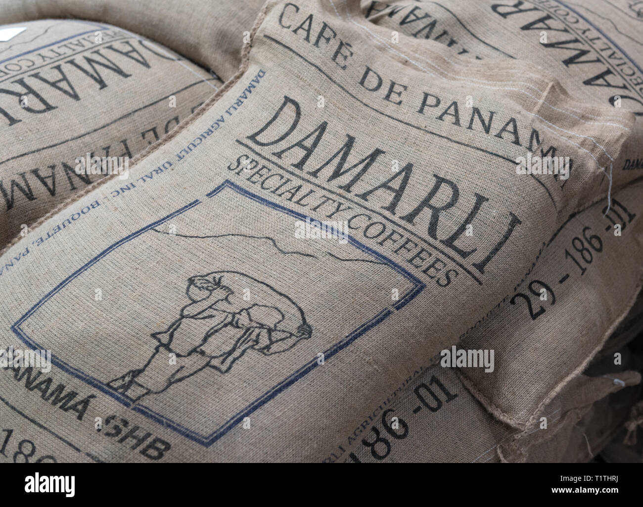 coffee beans packed in jute bags for export Stock Photo