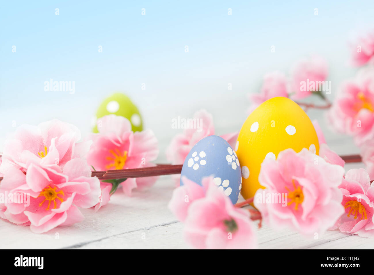 Easter eggs and pink flowers decoration on blue background. Gentle toned picture Stock Photo