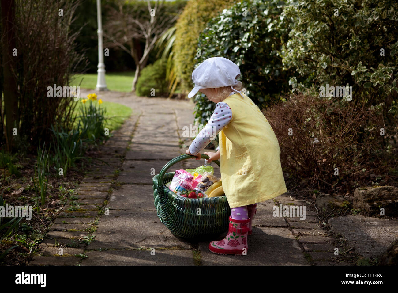 Toddler carrying a green wicker basket full of groceries Stock Photo