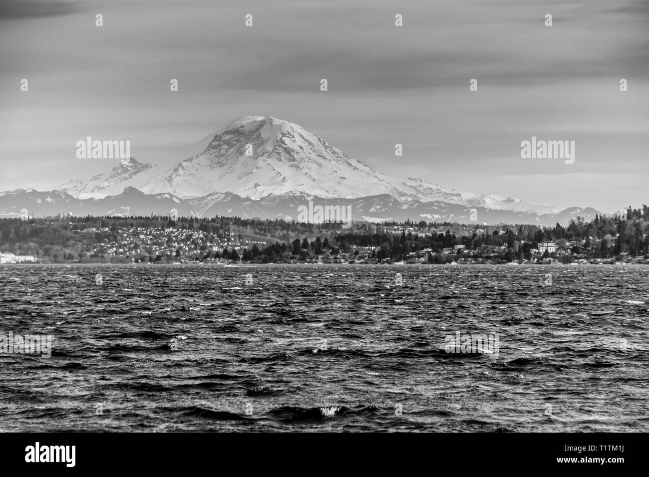 A view of Mount Rainier across Lake Washington Stock Photo Alamy