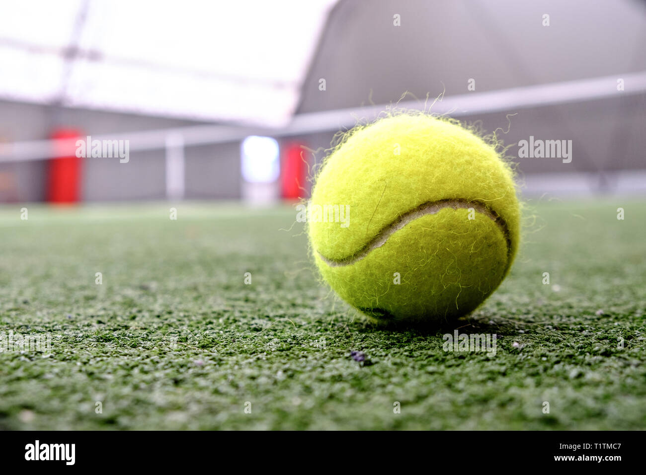 Yellow tennis ball Stock Photo Alamy