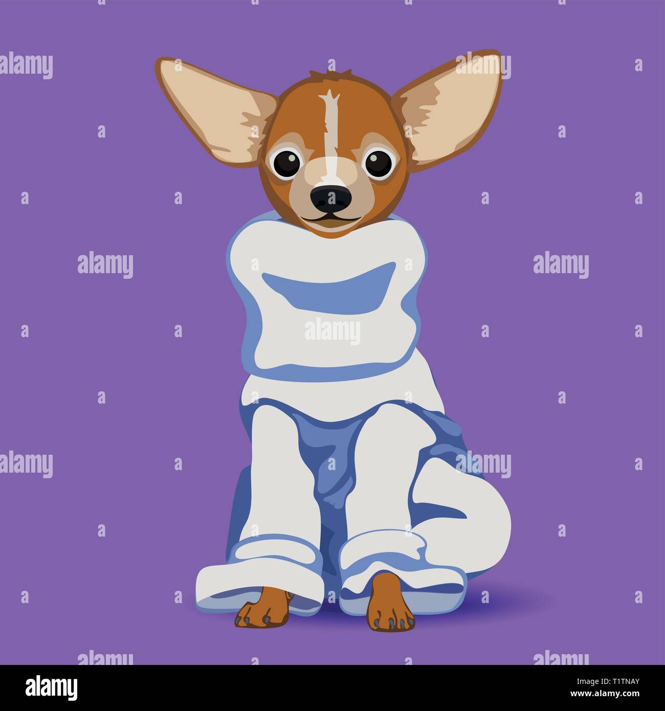 Chihuahua in a turtleneck sweater. Stock Vector