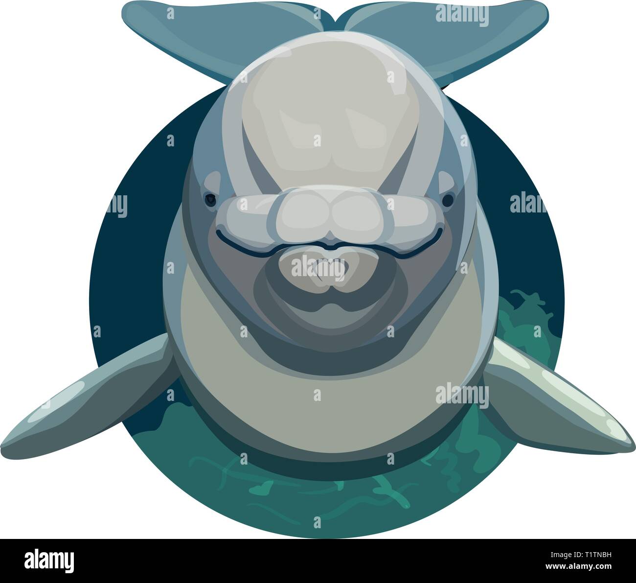 Beluga whale face on in a circular logo like fashion. Stock Vector