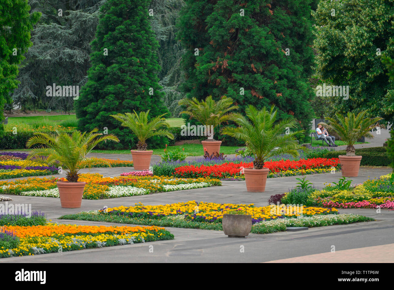 Rheinpark hi-res stock photography and images - Page 3 - Alamy