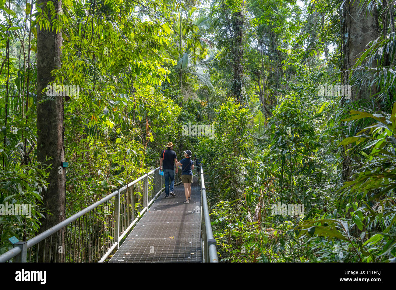 Daintree, Queensland. Visitors on the boardwalk in the Discovery Centre, Daintree Rainforest, Daintree National Park, Queensland, Australia Stock Photo