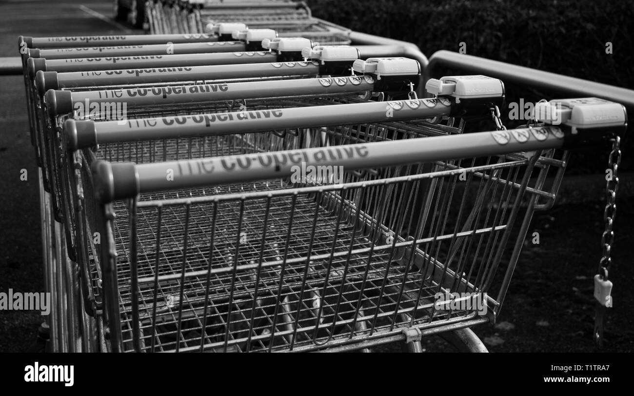 A rank of shopping trolleys Stock Photo - Alamy